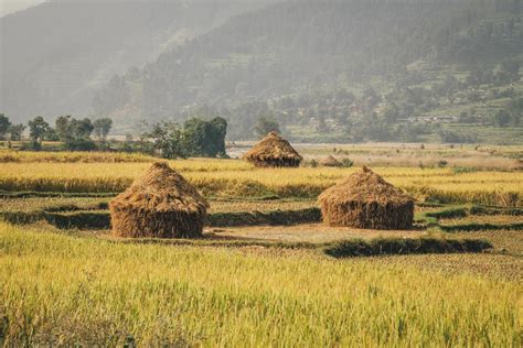 Foothills Of The Himalaya Riding Wild