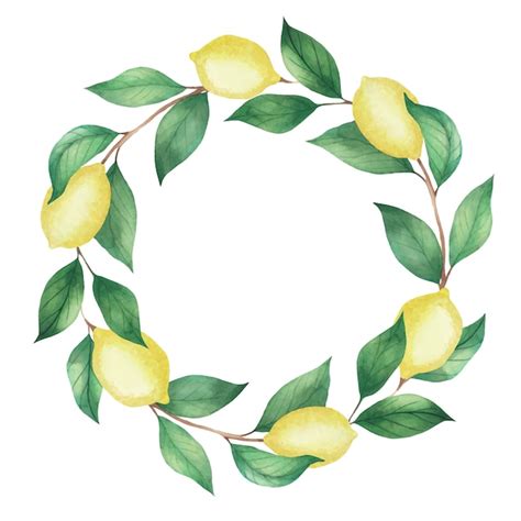 Premium Vector Watercolor Wreath Of Lemons And Green Branches Leaves