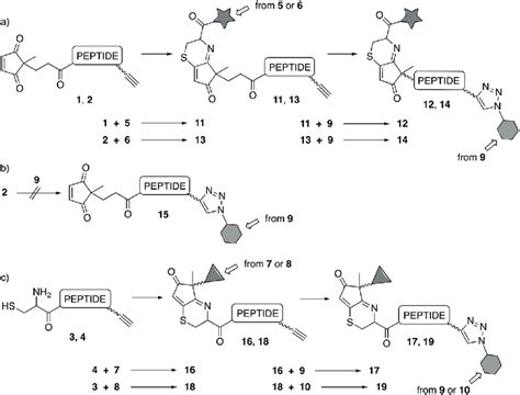 Scheme 2 A Reactions Performed On Peptides 1 And 2 To Obtain Double