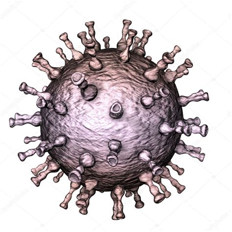 Herpes Zoster Virus Microscope