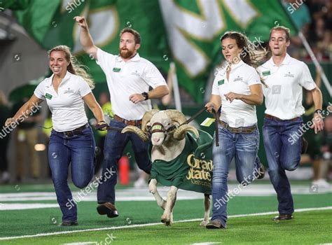 Colorado State Ram Mascot Runs On Editorial Stock Photo - Stock Image ...