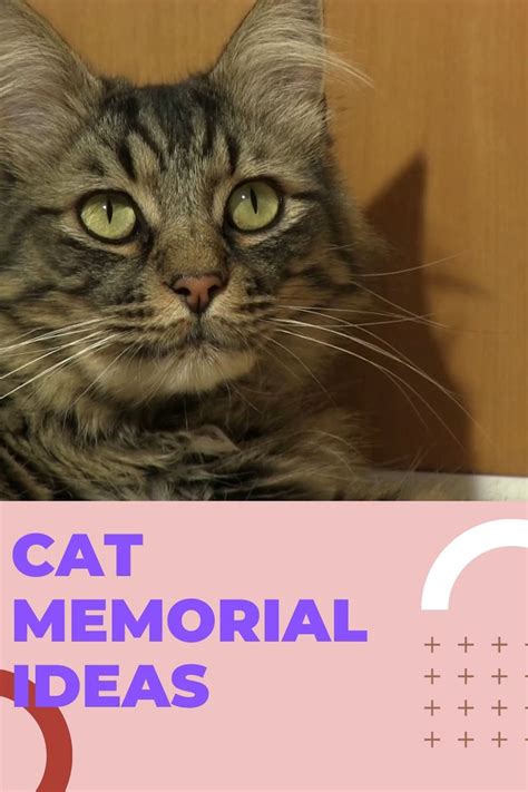 19+ Purr-fect Cat Memorial Ideas | Cat Gifts | Gifts for Cat Lovers [Video] | Cat memorial, Cat ...