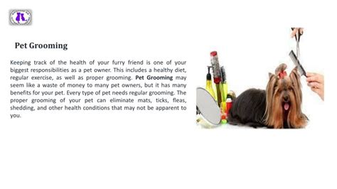 Ppt Get The Professional Pet Grooming Services In Georgia Powerpoint