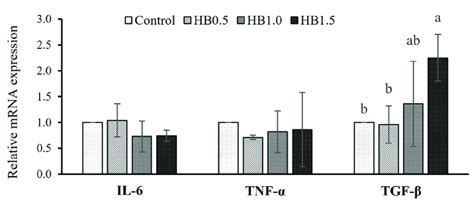 Inflammatory Gene Expressions Of Interleukine 6 IL 6 Tumor Necrosis