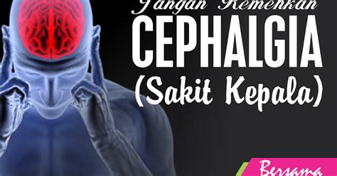 Mengenal Jenis Jenis Cephalgia Dan Cara Mengatasinya Whatsapp Hidup Sehat