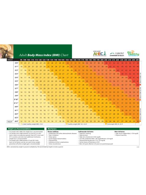 Bmi Chart 11 Free Templates In Pdf Word Excel Download