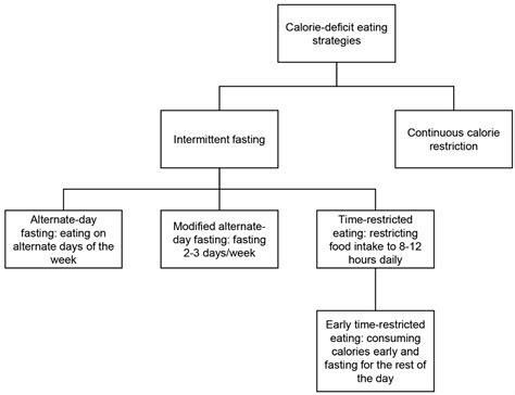 Jcm Free Full Text Time Restricted Eating And Its Metabolic Benefits