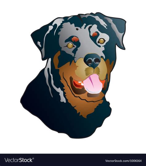 Rottweiler Vector