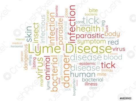 Lyme Disease Word Cloud Template Health And Medical Awareness Concept