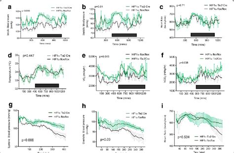 Effects Of Hif Pulmonary And Systemic Endothelial Knockout On