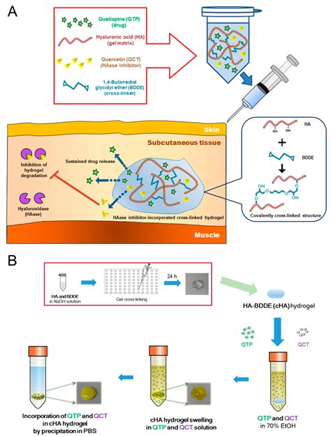 Pharmaceutics Free Full Text Hyaluronidase Inhibitor Incorporated