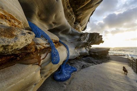 sculpture by the sea: world's largest open-air exhibition at bondi beach