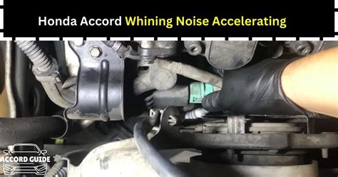 Honda Accord Whining Noise Accelerating