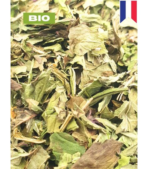 Menthe Poivr E Bio Feuille Mentha Piperita Achat Tisane Plante Vrac