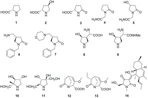 Examples Of Pyrrolidine And Pyrrolidone Containing Biologically Active