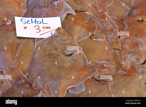 Sales Of Fresh Flounder On The Market Stock Photo Alamy