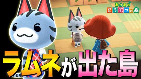 【あつ森】住民厳選から帰ってきたら「ラムネ」が待ってた【あつまれ どうぶつの森】 世界のニュース