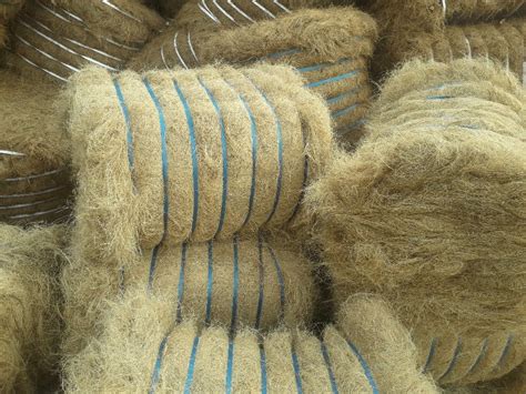 Coconut Coir Fiber at Rs 12000/tonne | Coir Fibre in Pune | ID: 20547573648