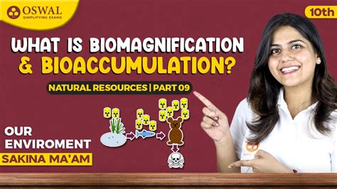 Biomagnification And Bioaccumulation Our Environment Part 9 Class