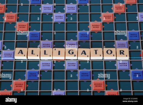 Eight Letter Words