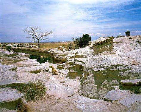 Petrified Forest National Park Self Guided Driving Audio Tour