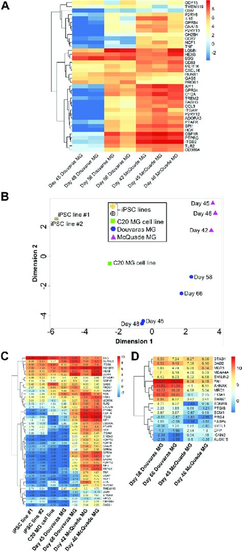 Characterization Of Human Ipsc Derived Microglia By Rna Sequencing A