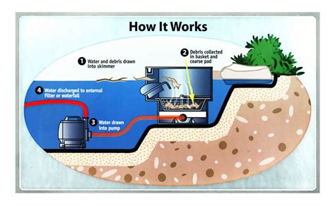 Diy Pond Filter Diagram Koi Pond Filter Keep Your Koi Fish H