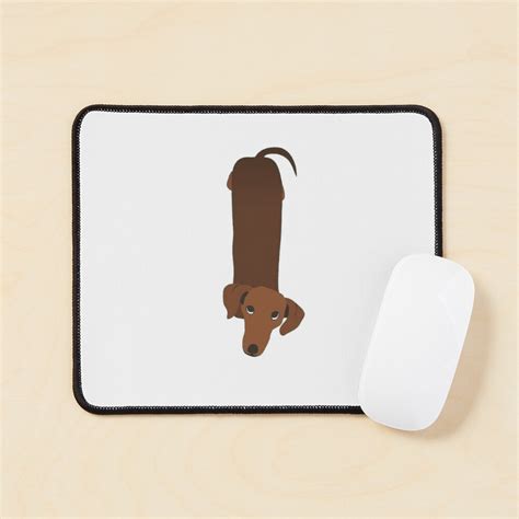 Dachshund Weiner Dog Cute Vsco Aesthetic Stickers Sticker For Sale By