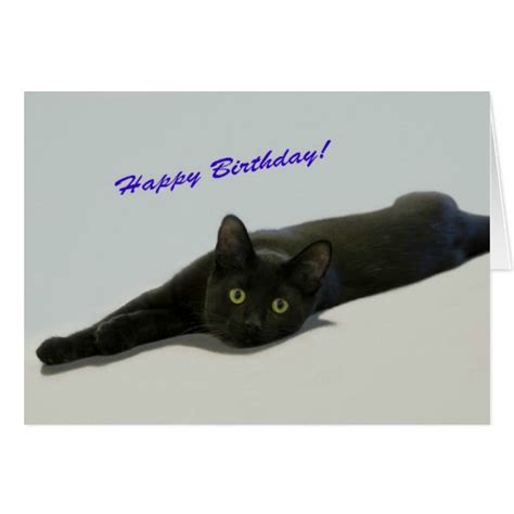 Black Cat Birthday Card By Focus For A Cause Zazzle