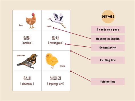 Korean Flashcards, Learning Korean, Basic Vocabulary, Animal Word Cards ...