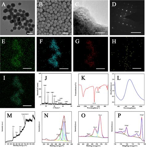 Morphology And Characterization Of Pbnps A Tem Image Of Pbnps Scale