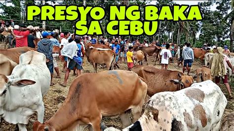 PRESYO NG BAKA NGAYON 2022 MANTALONGON BARILI CEBU D PACAÑORS YouTube