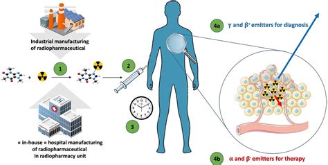 Radiopharmaceuticals Emerging As New Cancer Therapy NCI Atelier Yuwa