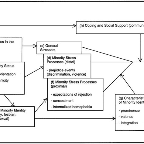 Minority Stress Processes In Lesbian Gay And Bisexual Populations