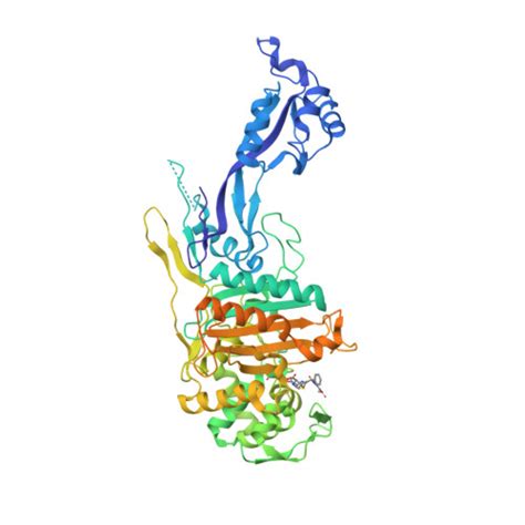 Rcsb Pdb 7o4a Crystal Structure Of Penicillin Binding Protein 1