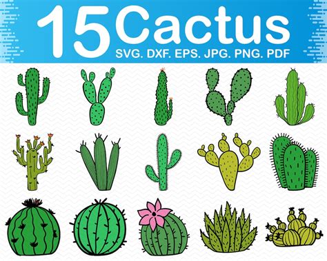 Cactus Svg Cactus Clipart Cute Cactus Svg Files For Cricut Cactus