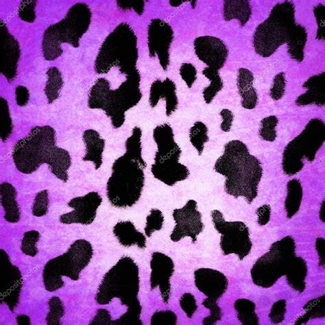 Asthetic Purple Cow Print Wallpaper Canvas Gloop