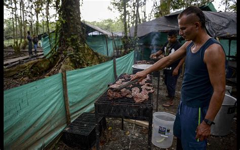 Así Viven Los Guerrilleros De Las Farc Desmovilizados En Colombia