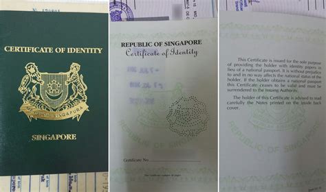 Confused And Dejected Stateless Persons Plead To Be Called Singaporeans