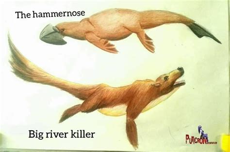 Speculative Evolution Otter And Platypus By Puticron On Deviantart