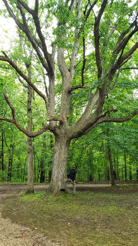 Update: Forest Glen Preserve | Destination: zero bars