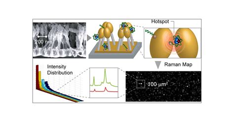 Surface Enhanced Raman Spectroscopy Based Quantitative Bioassay On Aptamer Functionalized