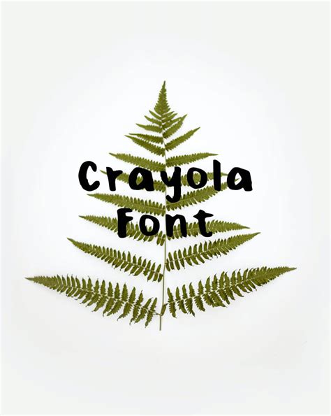 Crayola Font Free Download