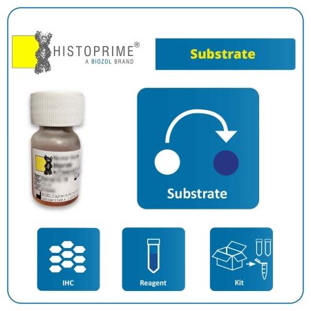 DAB HRP Substrate Kit Result Brown Colour 3 3 Diaminobenzidine