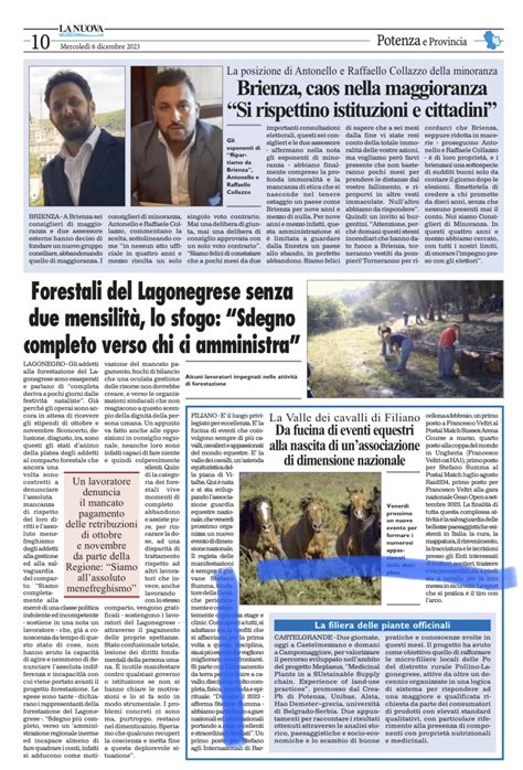 Rassegna Stampa Meplasus Medicinal Plants In A Sustainable Supply Chain