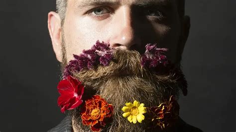 Son las barbas la solución contra las invencibles bacterias BBC