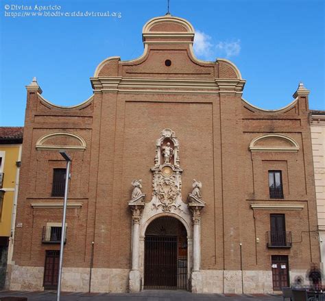 Iglesia de San Nicolás el Real en Guadalajara 50929 Biodiversidad