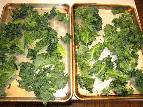 Ranch Kale Chips Preserved Home