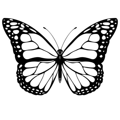 Dibujos De Mariposas En Blanco Y Negro Imágenes Y Fotos