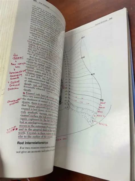 ORAL HISTOLOGY DEVELOPMENT Structure And Function A R TEN CATE 35